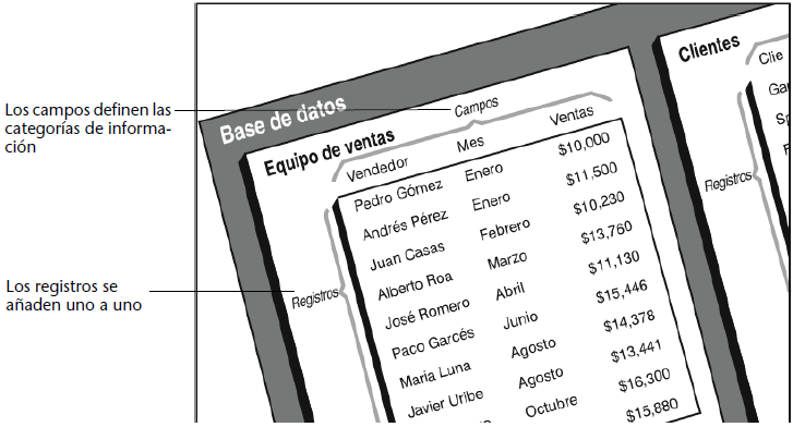 Conceptos básicos de bases de datos